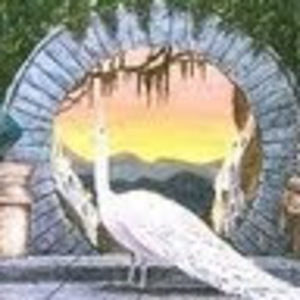 Meet your Posher, Cecilia